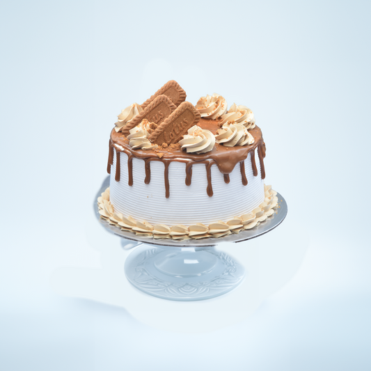 Lotus Biscoff Cake