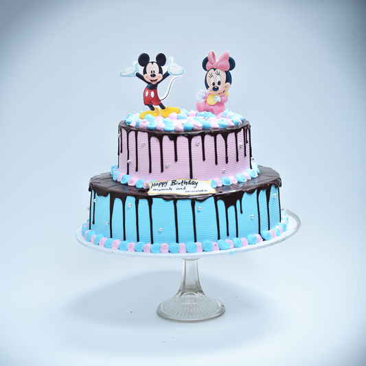 Mickey & Minnie Magic