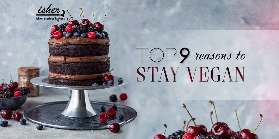 TOP 9 REASONS TO STAY VEGAN - Isher Eggless Bakers