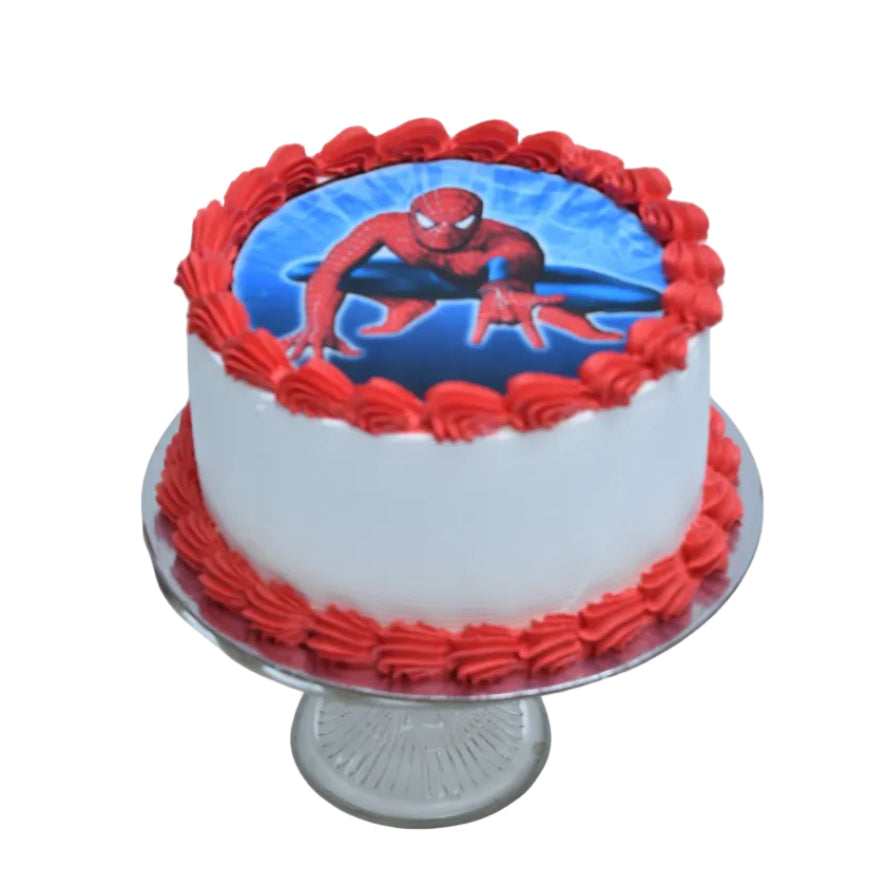 Super Spider Photo Cake